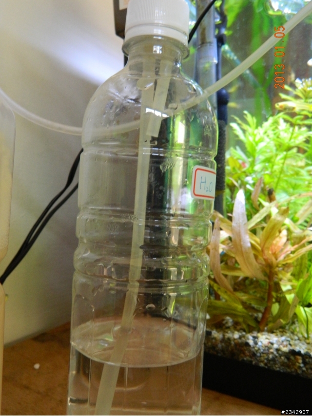 省錢妙招!自製二氧化碳