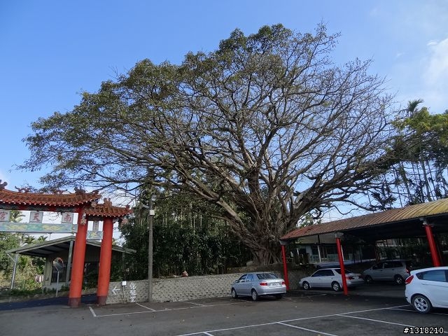 親子旅遊-小鬼"索草(台語)"去