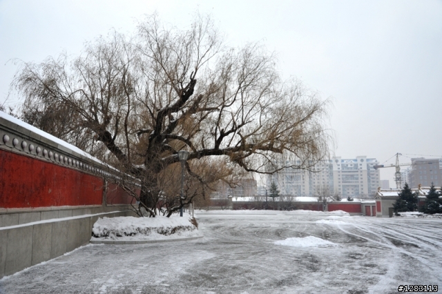 「2012聖誕東北+北京專列火車冰雪之旅」八天零下30度低溫挑戰行(圖文詳盡)
