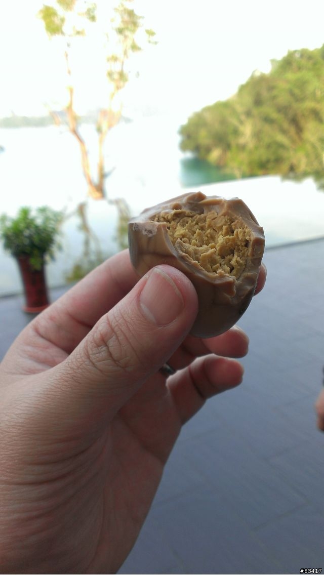 呼應公公頭不痛,HTC輕鬆上手功能介紹,讓你蝴蝶一拿輕鬆就上手