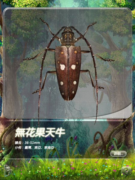 「甲蟲圖鑑」for iPad 開發祕辛大公開囉!!!