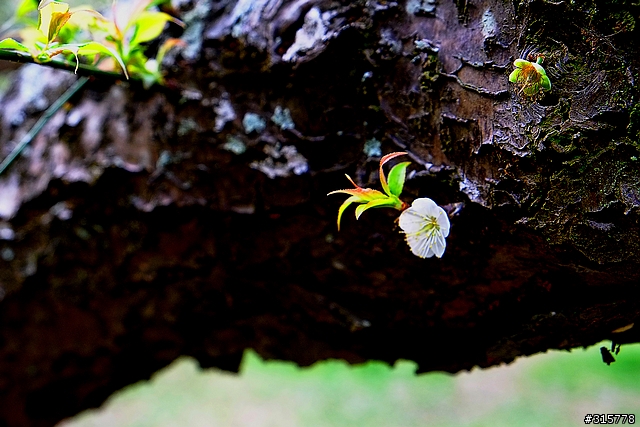 X-E1 + 18-55拿到了。