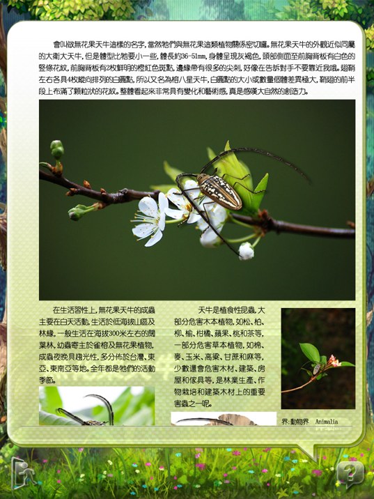 「甲蟲圖鑑」for iPad 開發祕辛大公開囉!!!