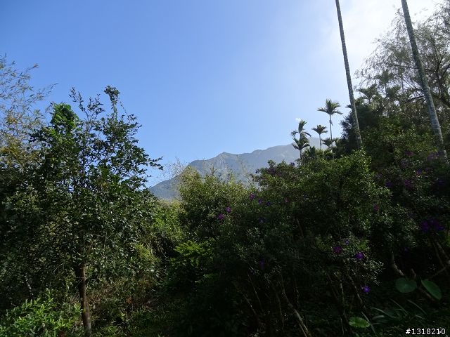 親子旅遊-小鬼"索草(台語)"去