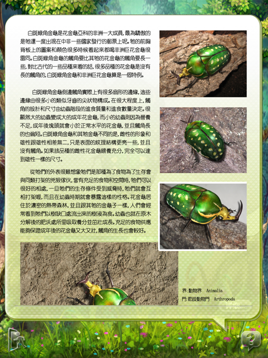 「甲蟲圖鑑」for iPad 開發祕辛大公開囉!!!