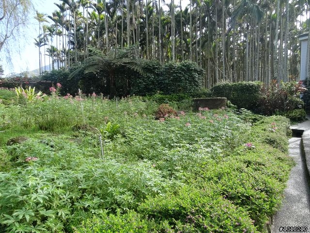 親子旅遊-小鬼"索草(台語)"去