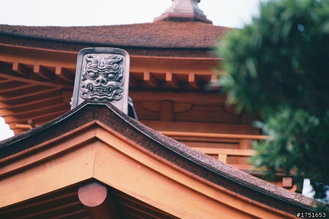 底片拍攝,求指教