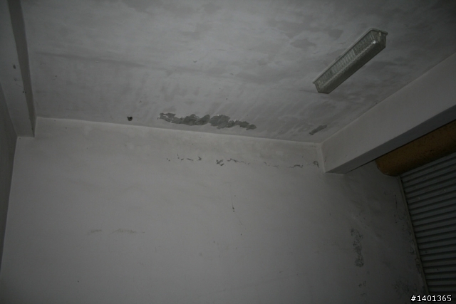 2+2口之家-30年舊屋大翻修全紀錄-室外篇(圖多)更新完畢