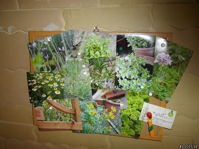 台南有愛的香草森林~~