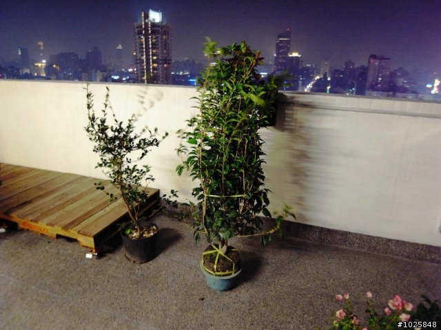 高雄市區,高樓層LOFT風,自行發包