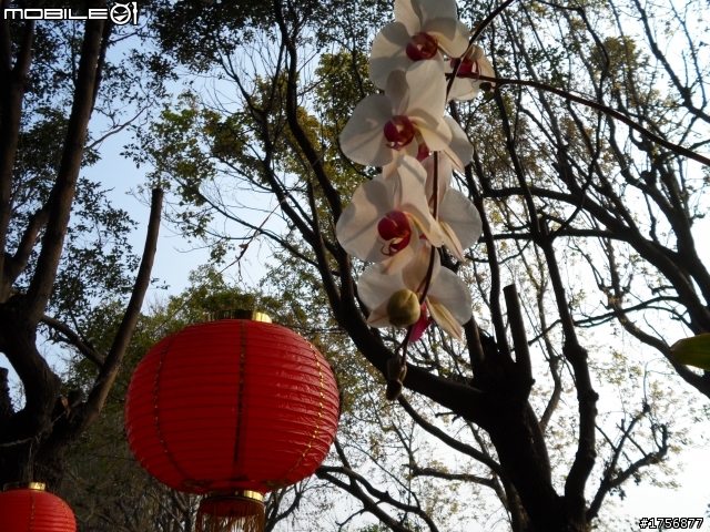 【旅遊圖文】探訪雲林鄉鎮RV遊旅遊行程^^
