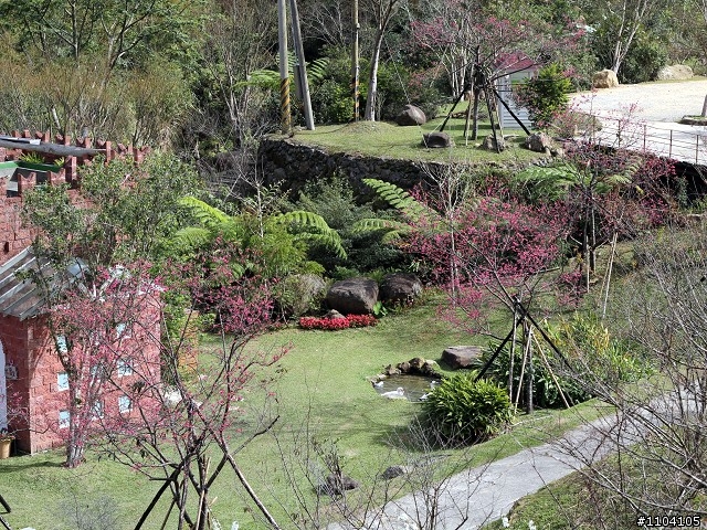 2013-02-01 縣道130走走~(苑裡-大湖)