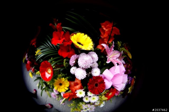 LENSBABY COMPOSER PRO & FISHEYE OPTIC 魚眼鏡頭