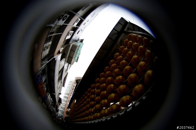 LENSBABY COMPOSER PRO & FISHEYE OPTIC 魚眼鏡頭