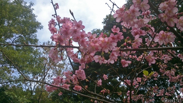 中和高中後山-嘉穗公園