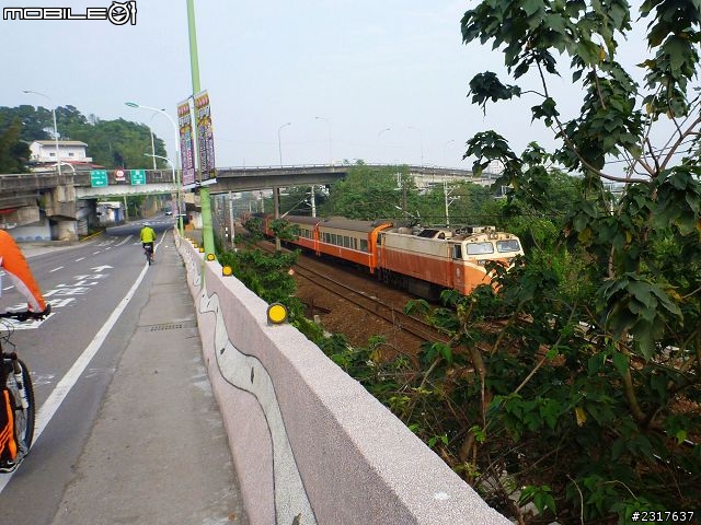 林間道影尋夢裡 桃紅帶香千百迴