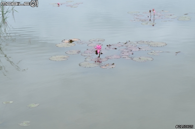 請假來去台東走走吧~~