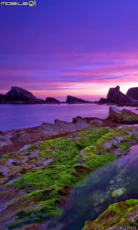 免ROOT 換字型 綜藝體 簡轉繁 多款app 多景桌布 桌布305P 浮水印添加器 隨機鈴聲 透明圖標