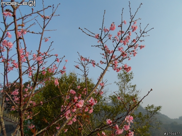 【旅遊圖文】探訪南投九份二山國家地震紀念地旅遊行程