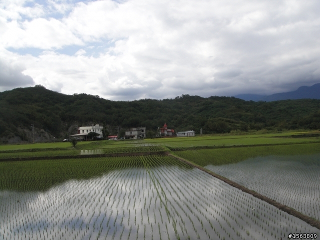 玉長公路+東富公路一日遊