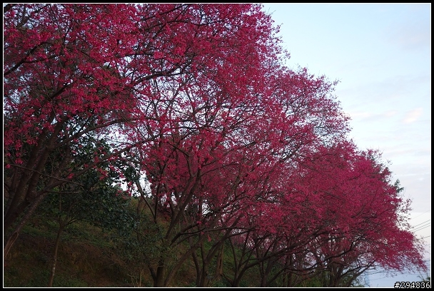 2013.02.01【單車遊記】貓空‧日與夜