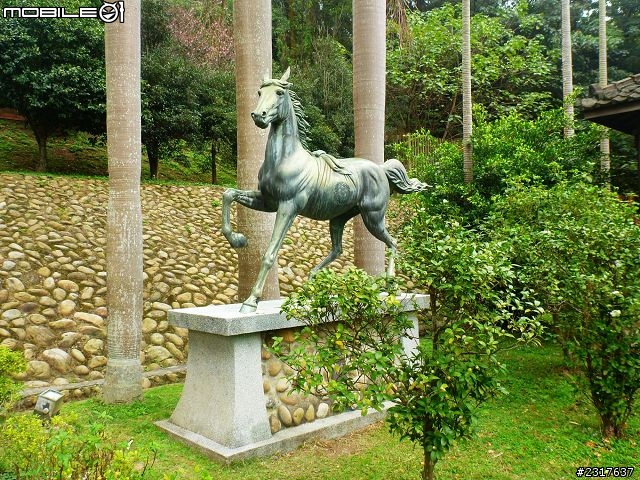 林間道影尋夢裡 桃紅帶香千百迴