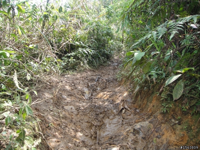 挑戰松羅湖(2013-2-17)