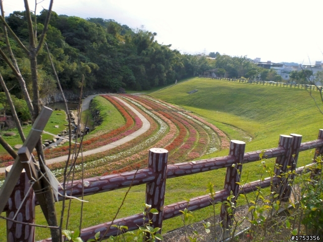 龍船岩上騎單車
