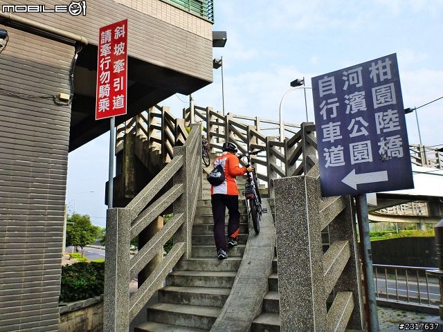 林間道影尋夢裡 桃紅帶香千百迴