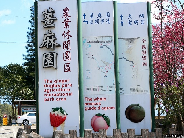 2013-02-01 縣道130走走~(苑裡-大湖)