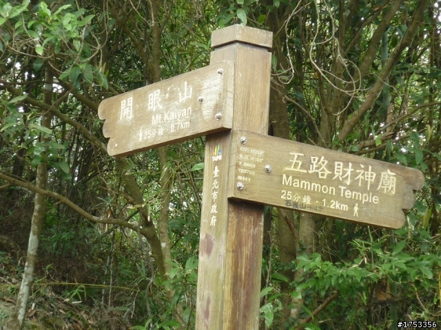 龍船岩上騎單車