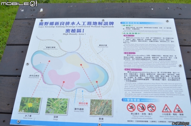 請假來去台東走走吧~~