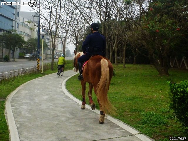 林間道影尋夢裡 桃紅帶香千百迴