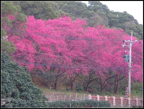 2013.02.01【單車遊記】貓空‧日與夜