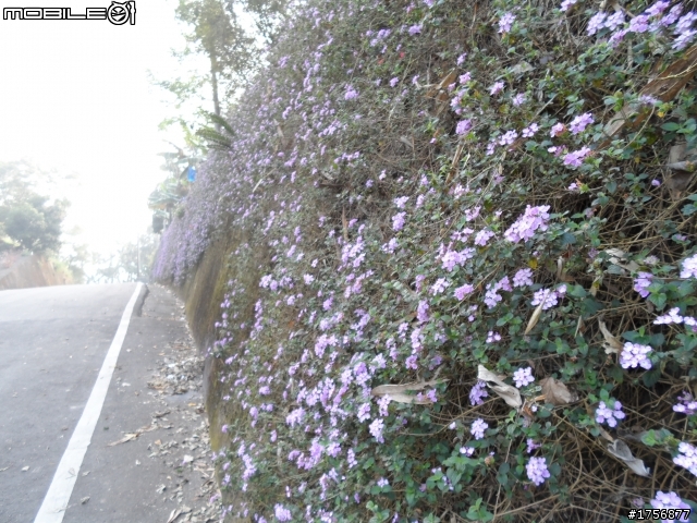 【旅遊圖文】探訪南投九份二山國家地震紀念地旅遊行程