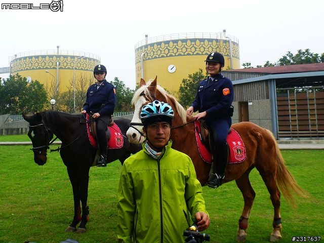 林間道影尋夢裡 桃紅帶香千百迴