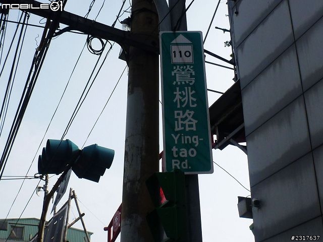 林間道影尋夢裡 桃紅帶香千百迴