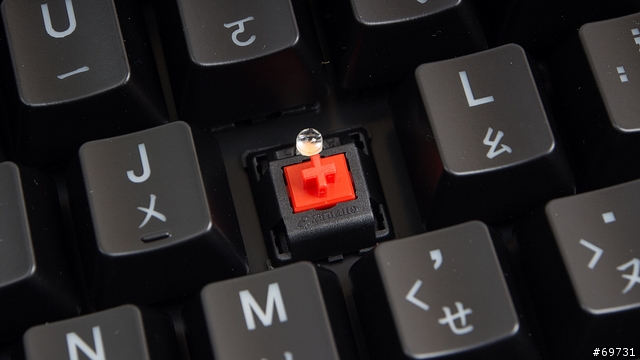 《 熊寶貝 》Ducky Shine 2 78 Version 閃吧!七彩霓虹燈