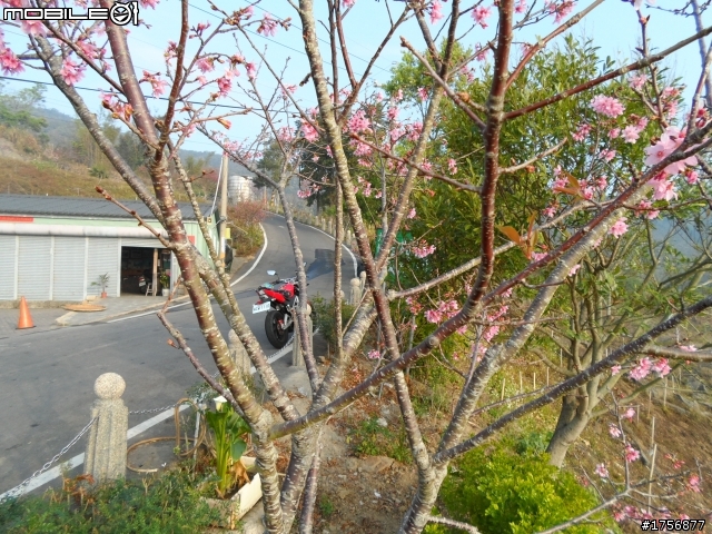 【旅遊圖文】探訪南投九份二山國家地震紀念地旅遊行程