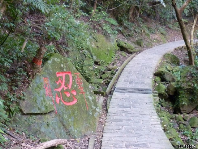 龍船岩上騎單車