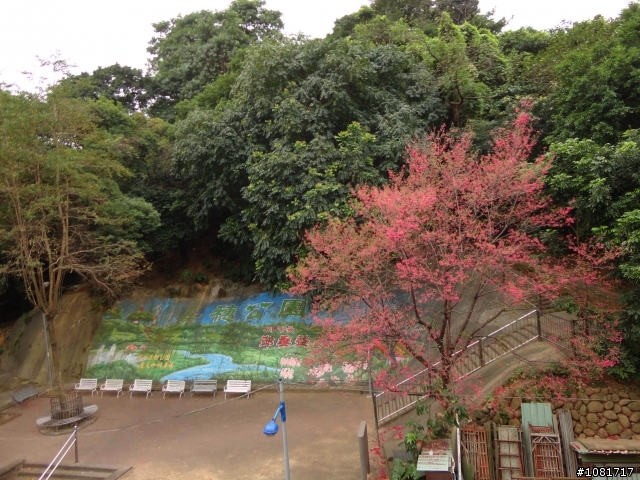 中和高中後山-嘉穗公園