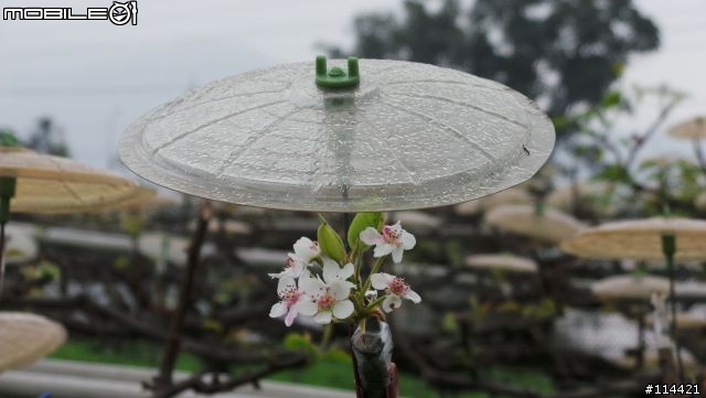 【開箱】Galaxy Camera 手機相機變形合體~柯博文出遊也愛即時分享