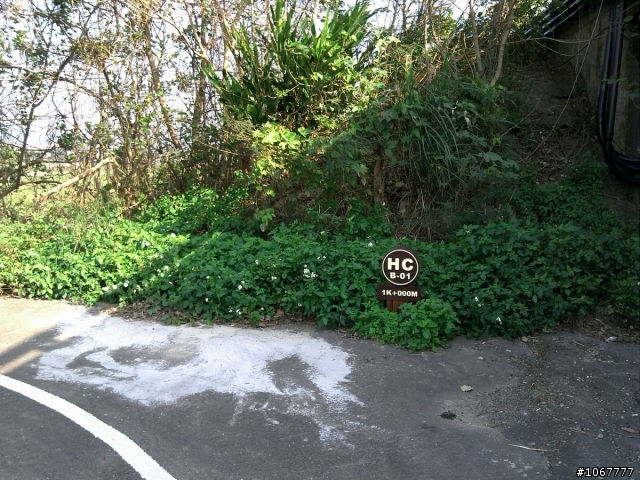 <推薦>關埔的後花園-頭前溪單車步道(純分享-牛埔好戰哥勿來亂)