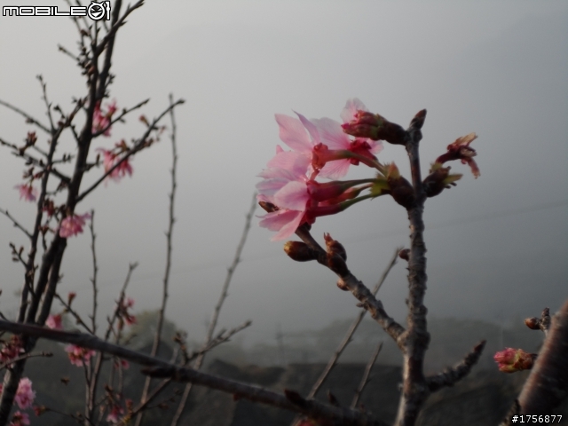 【旅遊圖文】探訪南投九份二山國家地震紀念地旅遊行程