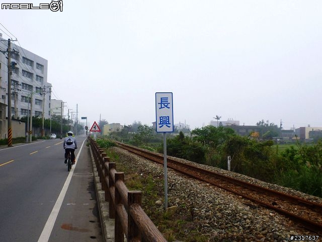 林間道影尋夢裡 桃紅帶香千百迴