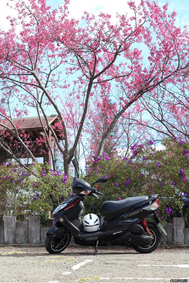 2013-02-01 縣道130走走~(苑裡-大湖)