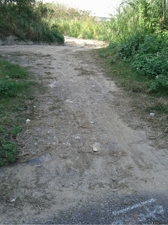 <推薦>關埔的後花園-頭前溪單車步道(純分享-牛埔好戰哥勿來亂)