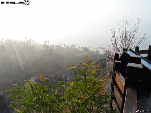 【旅遊圖文】探訪南投九份二山國家地震紀念地旅遊行程