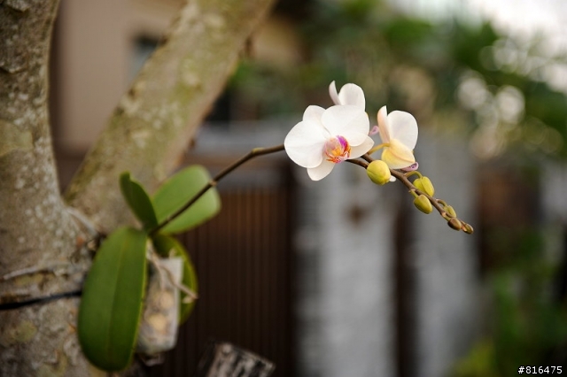 風和日麗 . 新屋開箱
