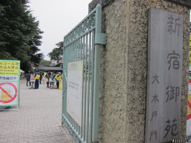 日大大さくら祭り/千鳥之淵/靖國神社/新宿御苑/目黑川賞櫻